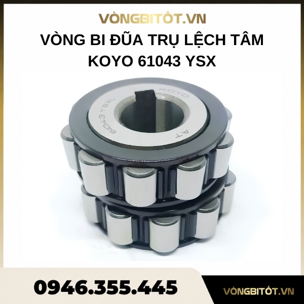 Vòng bi lệch tâm KOYO 61043 YSX