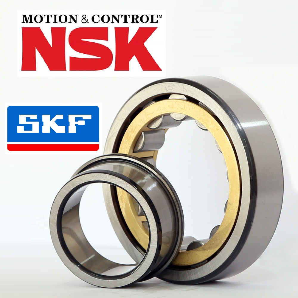 Vòng bi đũa N-204