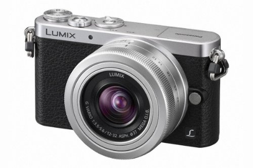 Panasonic Lumix DMC-GM1 body