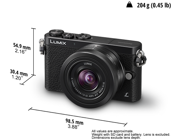 Panasonic Lumix DMC-GM1 body