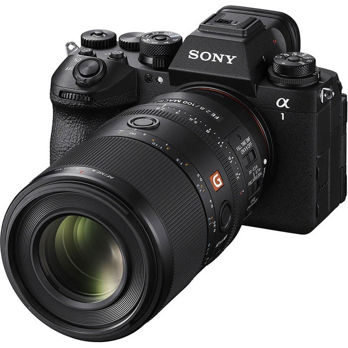Sony FE 100mm F/2.8 Macro GM OSS, Mới 100% (Chính Hãng)