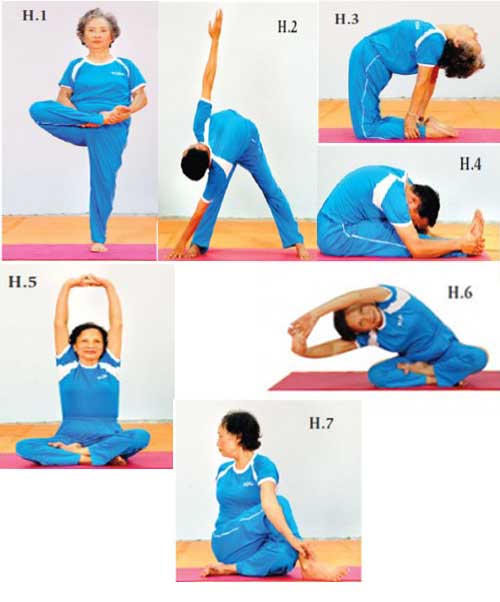 Các bài tập yoga dành cho người cao tuổi