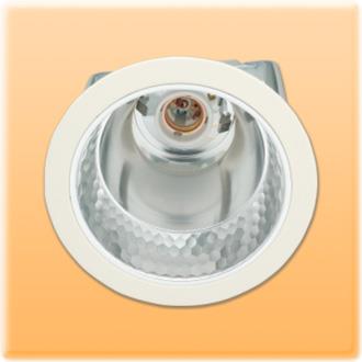 Đèn đownlinght  FLN110301