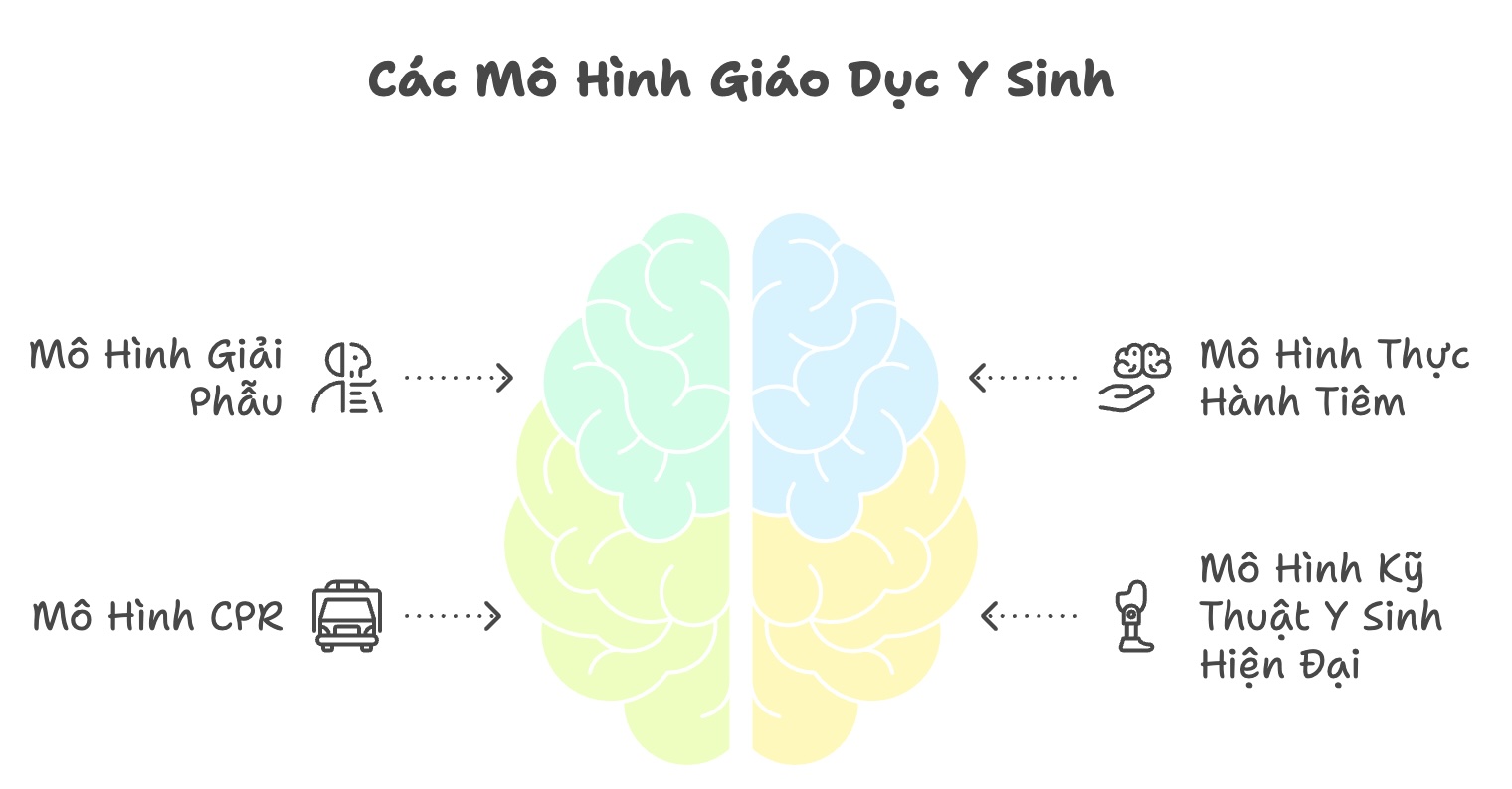 mo hinh day nghe y sinh