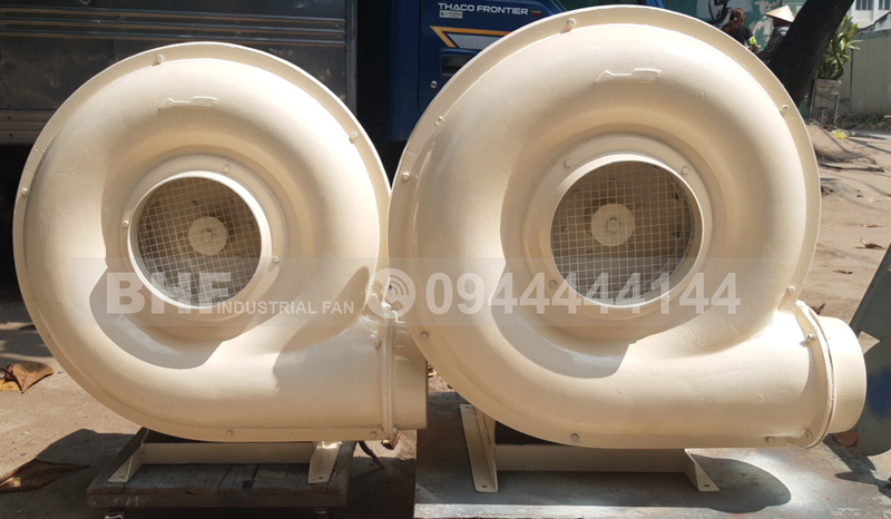 Quạt con sò nhập khẩu