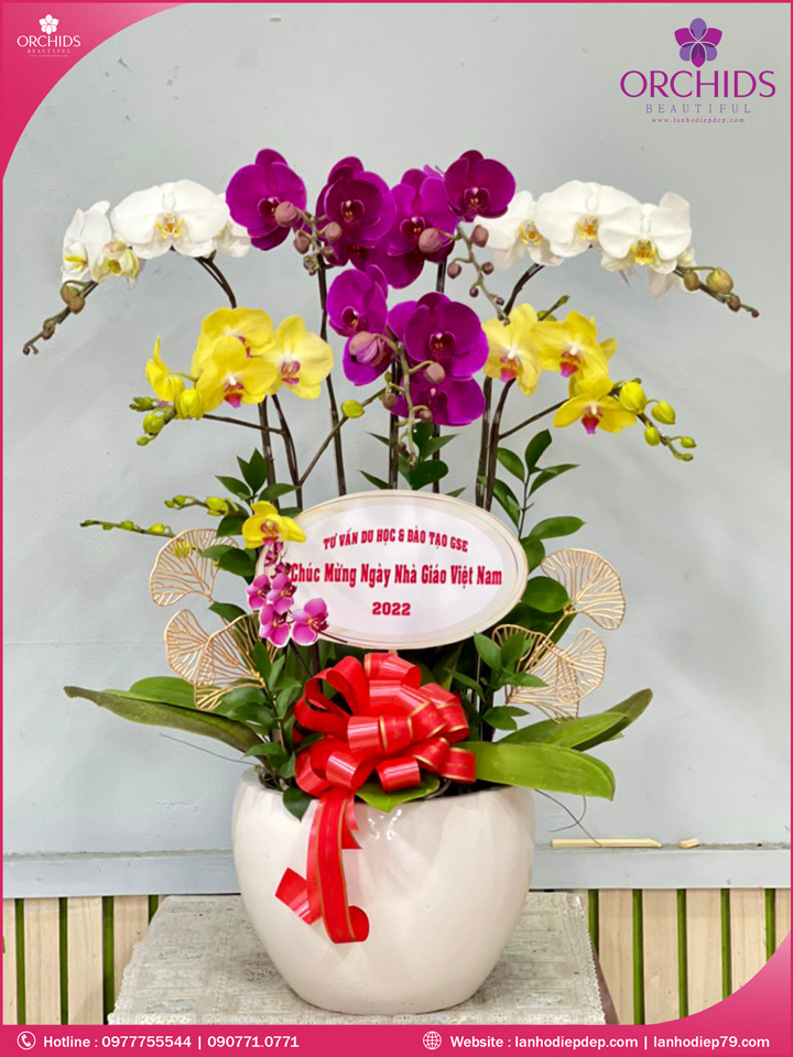 Chậu hoa phong lan đơn trắng mang lại sự thanh lịch, gợi nhắc về sự quý phái. Một món quà sáng tạo và độc đáo để thể hiện sự tôn trọng và tình yêu thương đối với những người phụ nữ đặc biệt nhất trong cuộc sống của bạn.