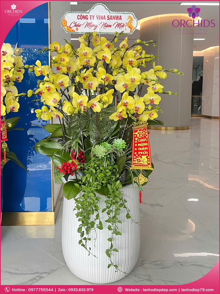 Chậu hoa lan hồ điệp vàng 21 cành V543