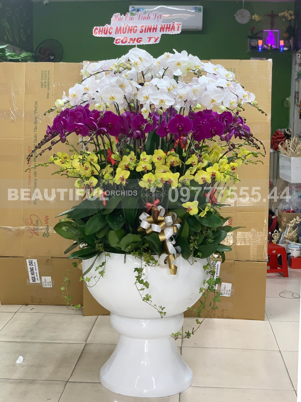 Chậu hoa lan hồ điệp đẹp tặng sinh nhật sếp, lãnh đạo hoặc tặng khai trương, khánh thành
