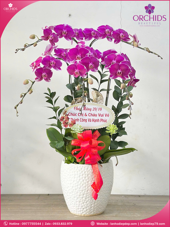 Chậu hoa lan hồ điệp tím 5 cành T179