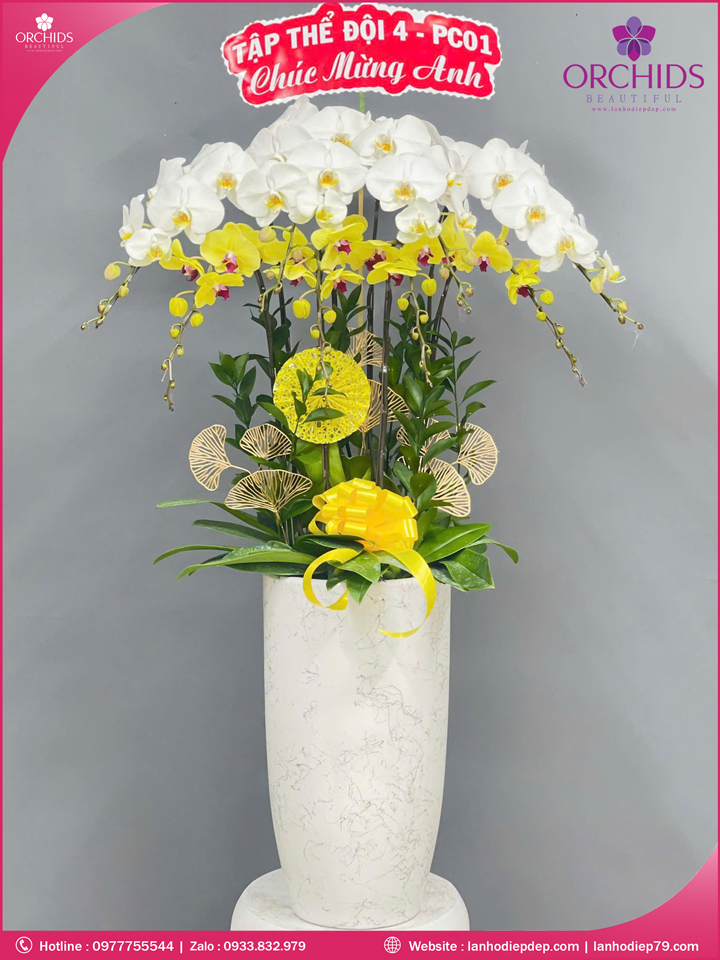 Chậu hoa lan hồ điệp trắng 8 cành TR364