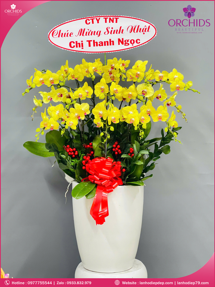 Chậu hoa lan hồ điệp vàng 16 cành V506