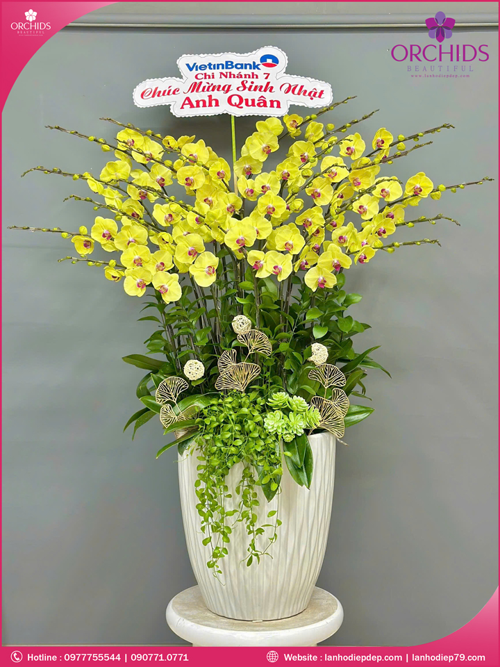 Chậu hoa lan hồ điệp vàng 20 cành