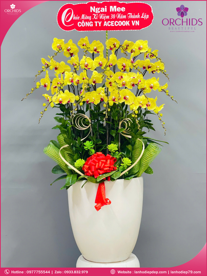 Chậu hoa lan hồ điệp vàng 20 cành V511
