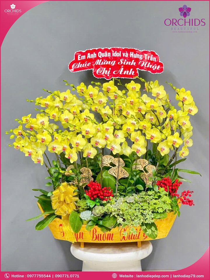 Chậu hoa lan hồ diệp vàng 25 cành