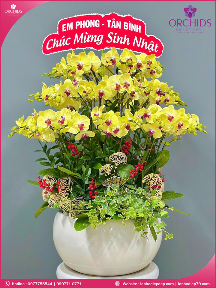 Chậu hoa lan hồ điệp vàng 30 cành