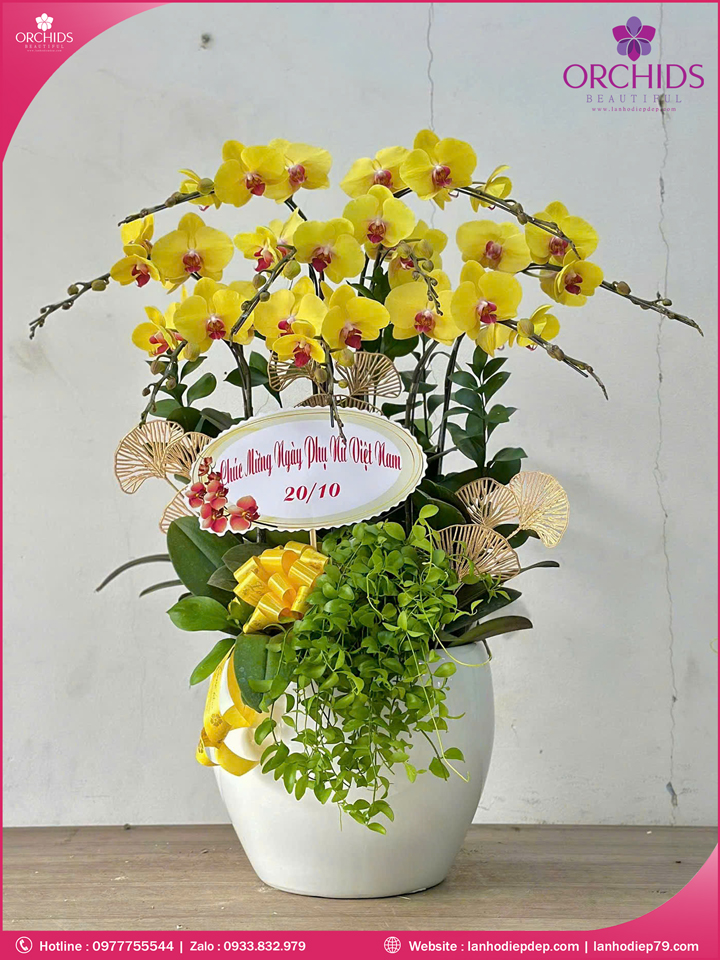 Chậu hoa lan hồ điệp vàng 9 cành V499
