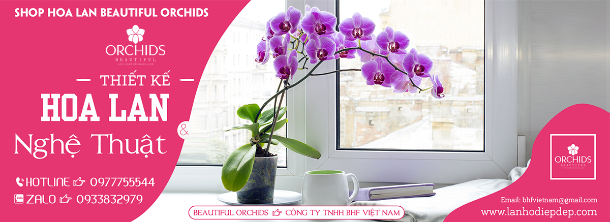 Giới thiệu Shop hoa lan Beautiful Orchids