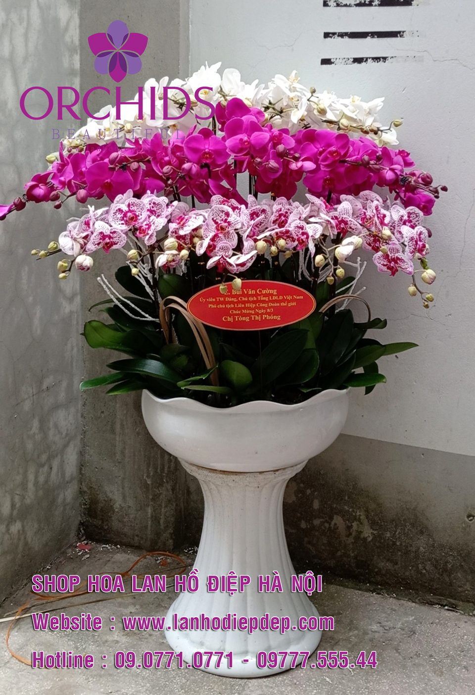 Shop hoa lan giá rẻ tại Hà Nội