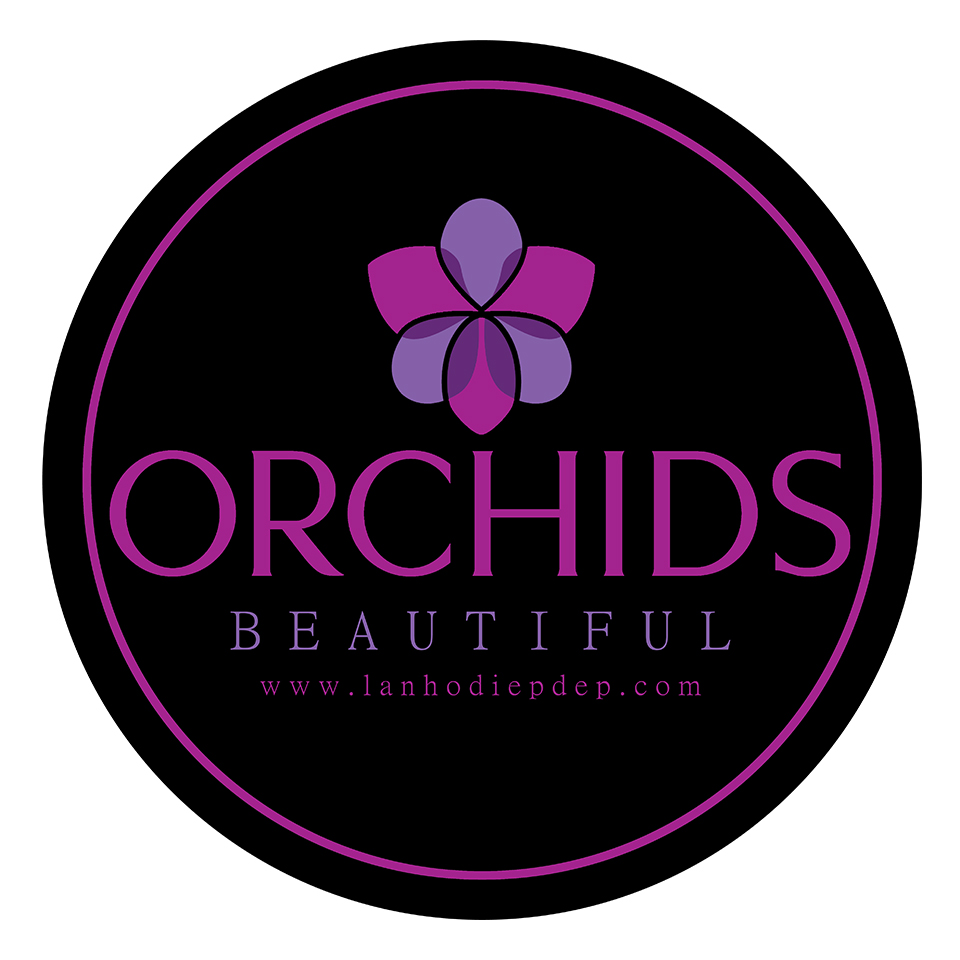 Shop hoa lan hồ điệp Beautiful Orchids tại Hà Nội