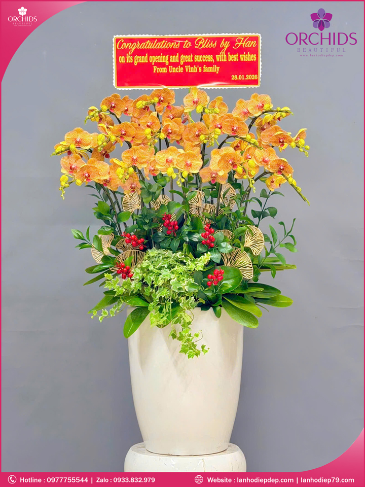 Chậu hoa lan hồ điệp cam 15 cành C92