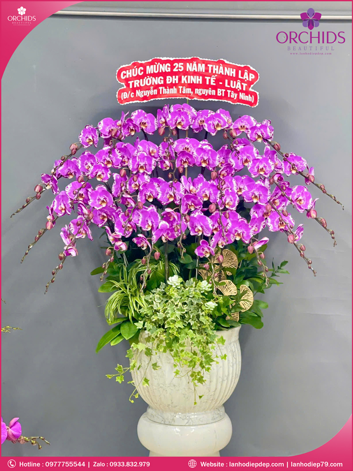 chau-hoa-lan-ho-diep-doc-la-25-canh-d86