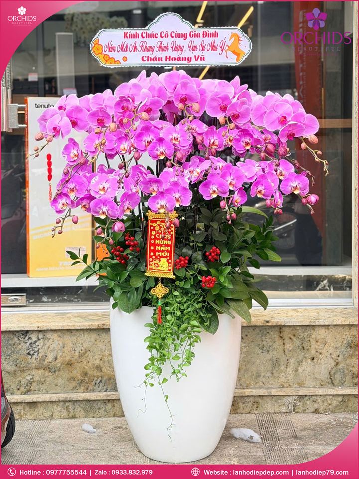 Chậu hoa lan hồ điệp hồng 18 cành H297