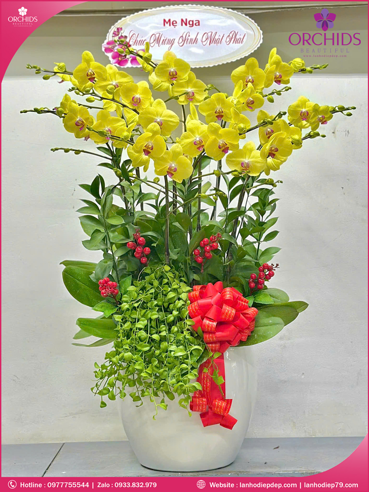 chau-hoa-lan-ho-diep-vang-10-canh-v500