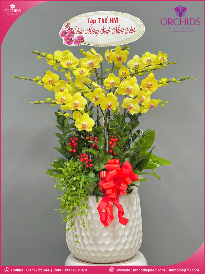 chau-hoa-lan-ho-diep-vang-10-canh-v502