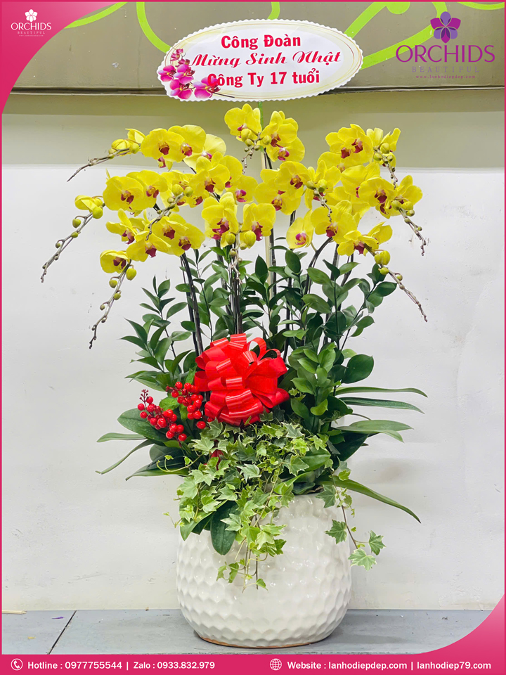 chau-hoa-lan-ho-diep-vang-10-canh-v503