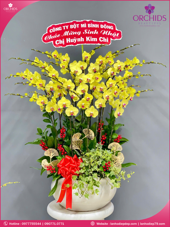 Chậu hoa lan hồ điệp vàng 20 cành V347