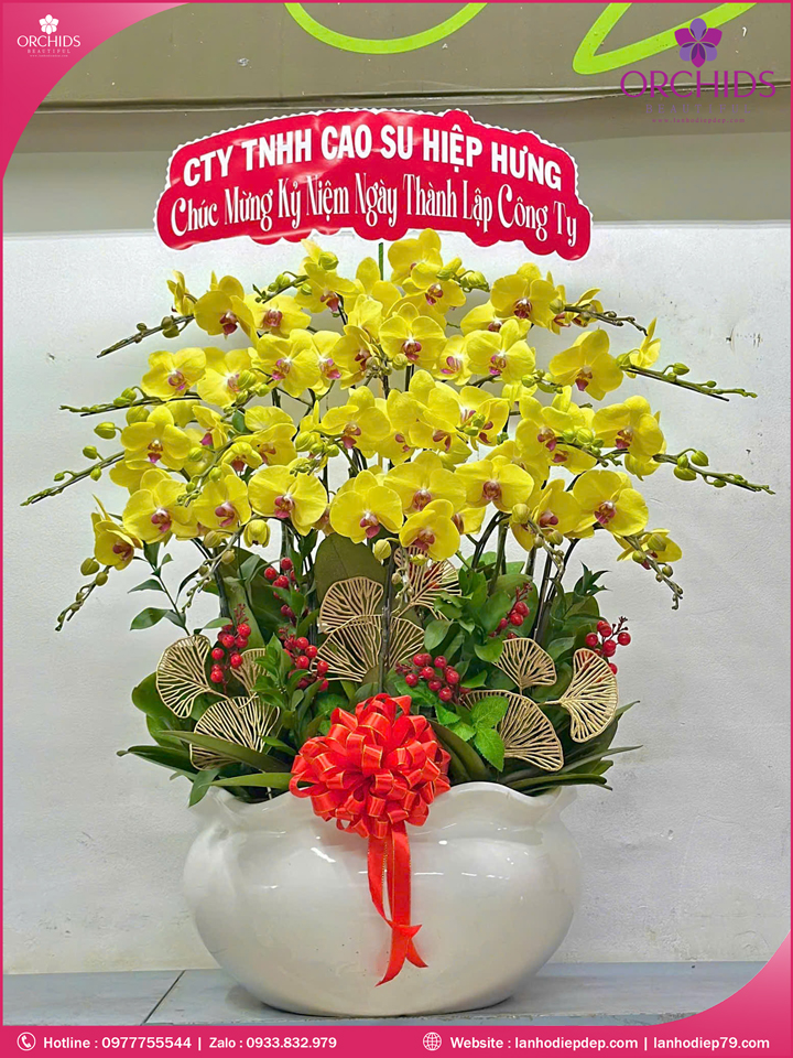 chau-hoa-lan-ho-diep-vang-20-canh-v510