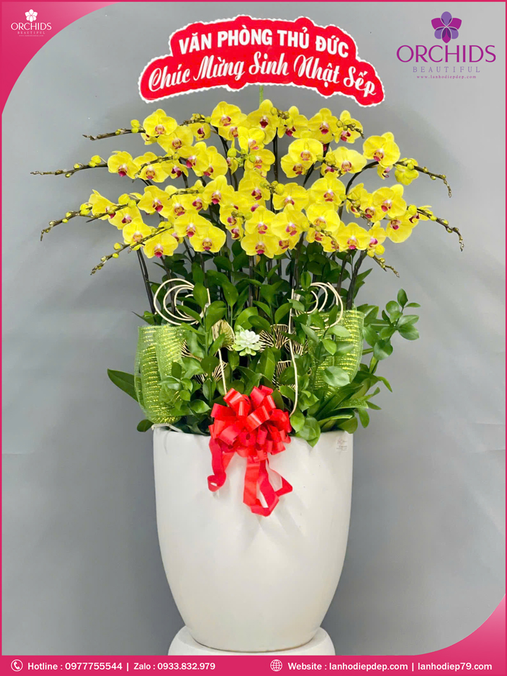 Chậu hoa lan hồ điệp vàng 20 cành V525