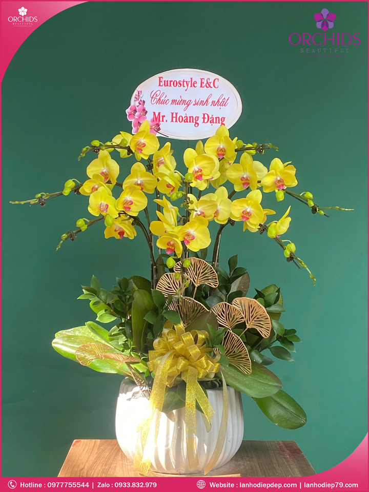 chau-hoa-lan-ho-diep-vang-8-canh-v491