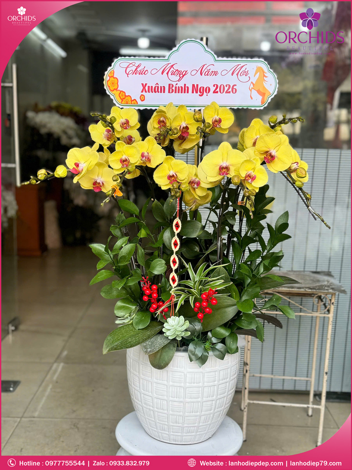 Chậu hoa lan hồ điệp vàng 9 cành V539