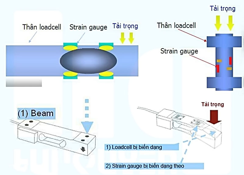 Nguyên lý hoạt động cơ bản của cân điện tử