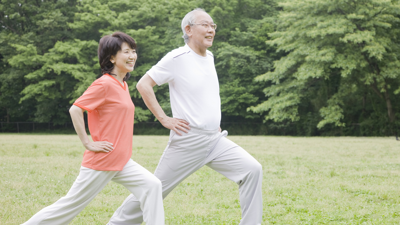 exercises for the elderly