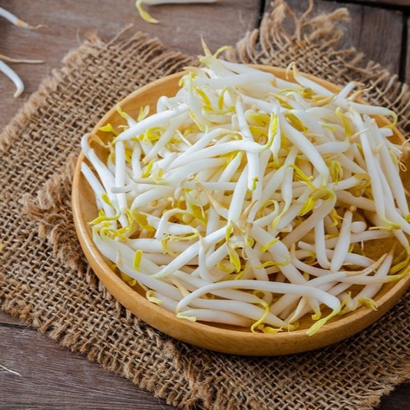 Cách ủ giá bằng khăn an toàn - Hiệu quả ngay tại nhà