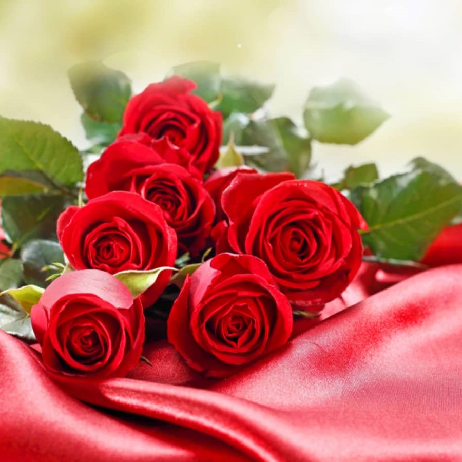 Lời Chúc 20/10 Ý Nghĩa Gửi Tặng Những Người Phụ Nữ Mà Bạn Yêu Thương