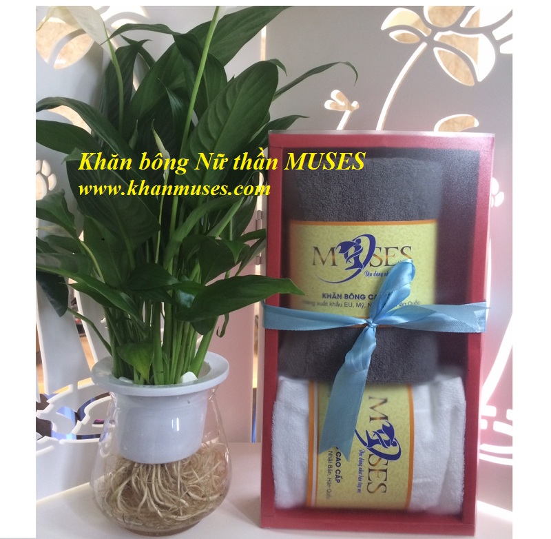 Tổng hợp 10 mẫu khăn tắm, khăn mặt làm Quà tặng rất Đẹp và rẻ