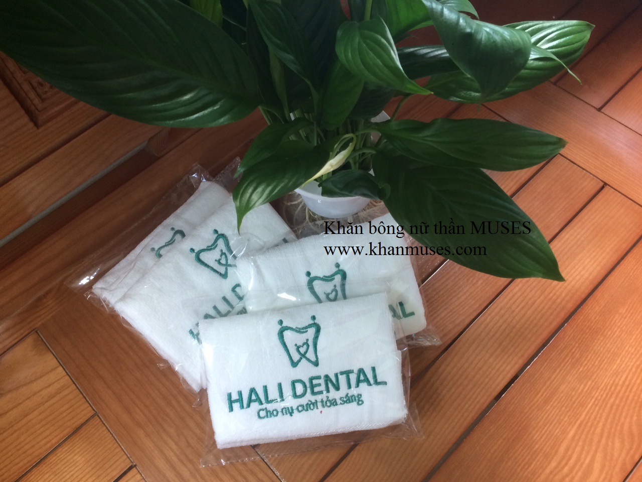 Cung cấp Khăn Quà tặng chất lượng Giá cạnh tranh tại Bình Dương