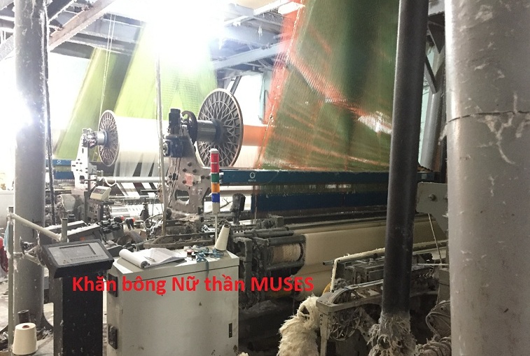 Cung cấp Khăn khách sạn tại Quận 2