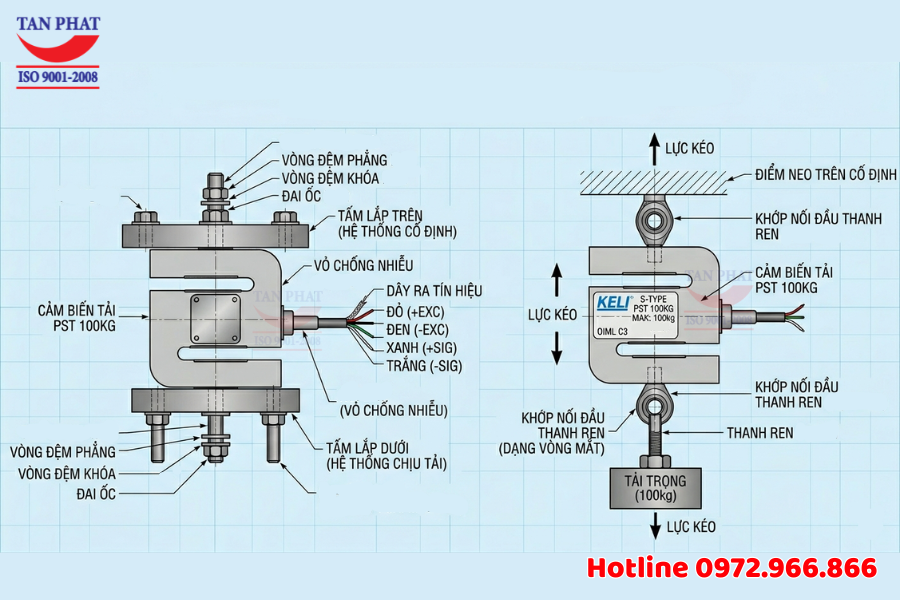 Loadcell Chữ S PST 100kg