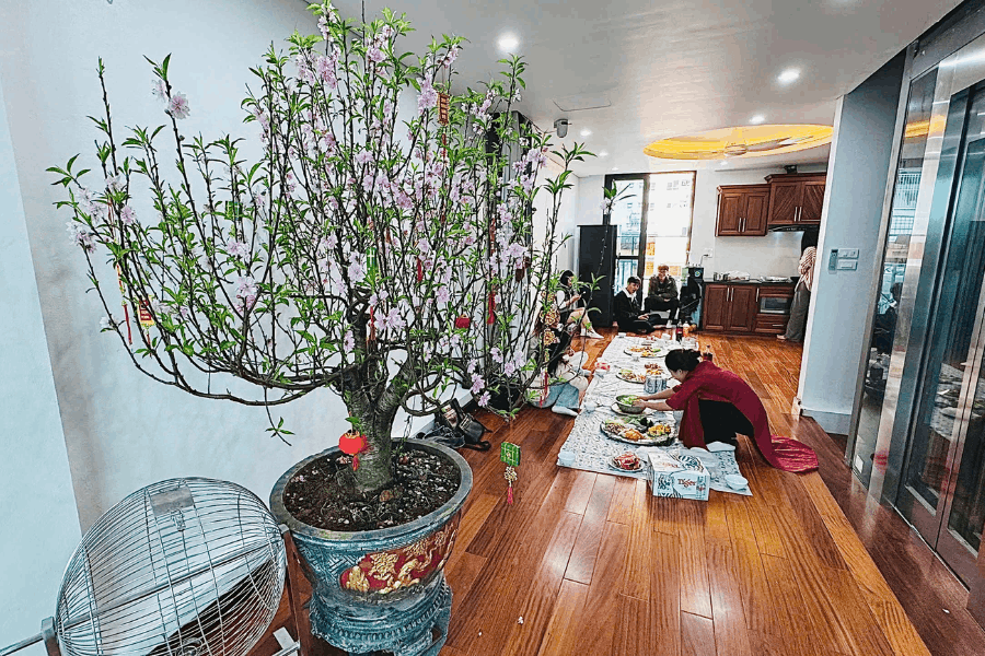 Chào xuân BÍNH NGỌ 2026 cùng Tan Phat Autotech., JSC