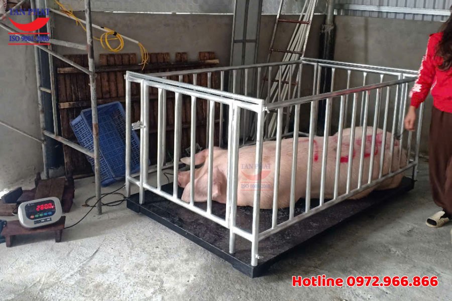 Cân động vật có lồng