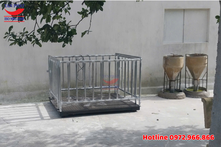 Cân động vật có lồng