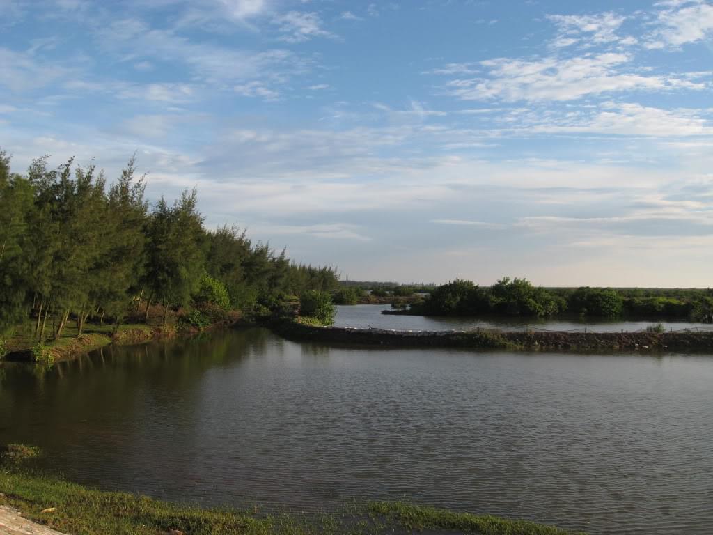 cồn vành thái bình