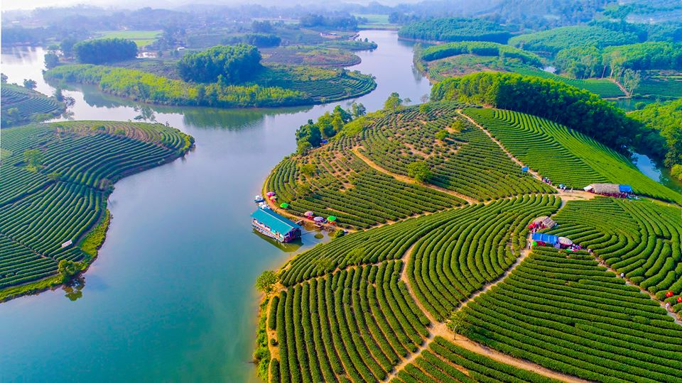 du lịch đảo chè Thanh Chương