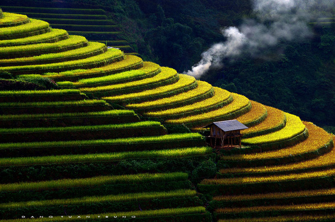 mù cang chải 