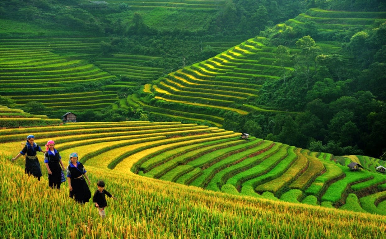 sapa - y tý - lũng pô