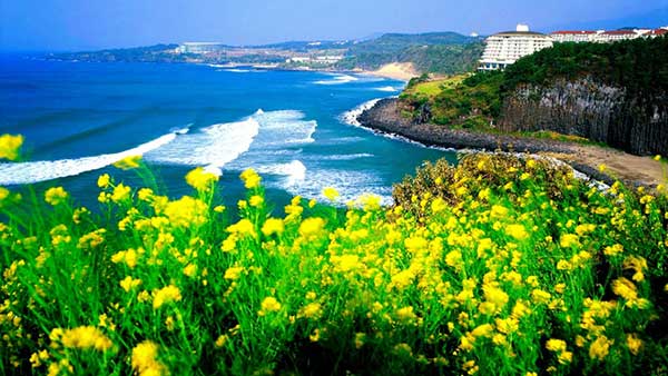 Đảo Jeju ở Hàn Quốc – nơi có 3 nhiều và 3 không